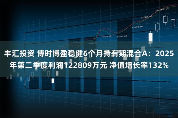 丰汇投资 博时博盈稳健6个月持有期混合A：2025年第二季度利润122809万元 净值增长率132%
