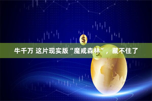 牛千万 这片现实版“魔戒森林”，藏不住了