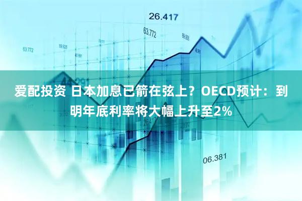 爱配投资 日本加息已箭在弦上？OECD预计：到明年底利率将大幅上升至2%
