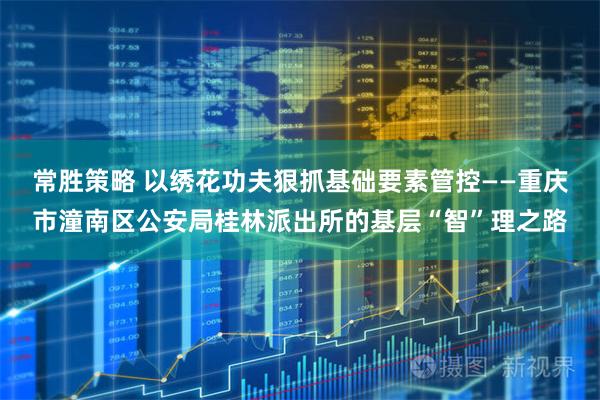 常胜策略 以绣花功夫狠抓基础要素管控——重庆市潼南区公安局桂林派出所的基层“智”理之路