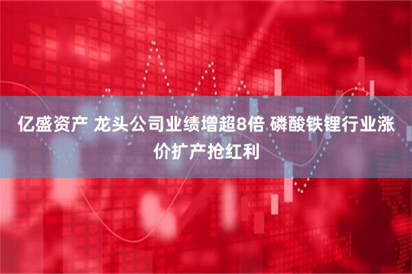 亿盛资产 龙头公司业绩增超8倍 磷酸铁锂行业涨价扩产抢红利