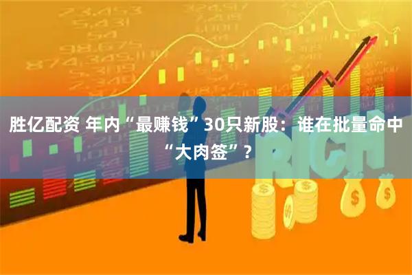 胜亿配资 年内“最赚钱”30只新股：谁在批量命中“大肉签”？